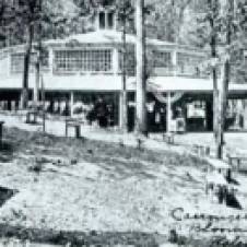 Carousel at Bloomsbury Park, c. 1912